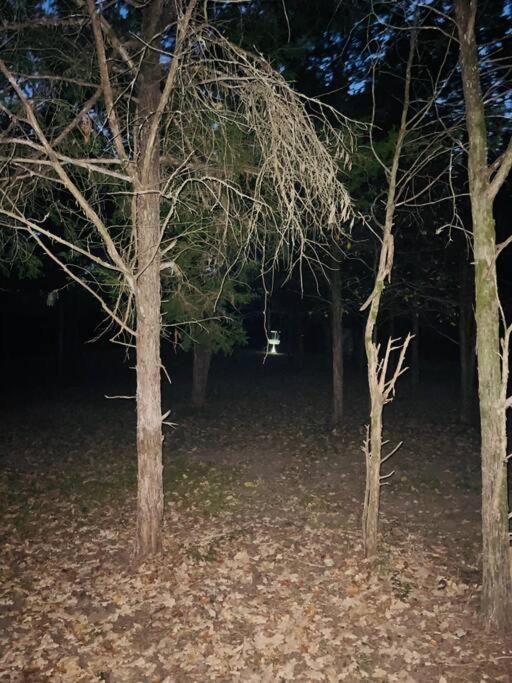 Bastrop Tiny Disc Golf Retreat Villa Eksteriør bilde