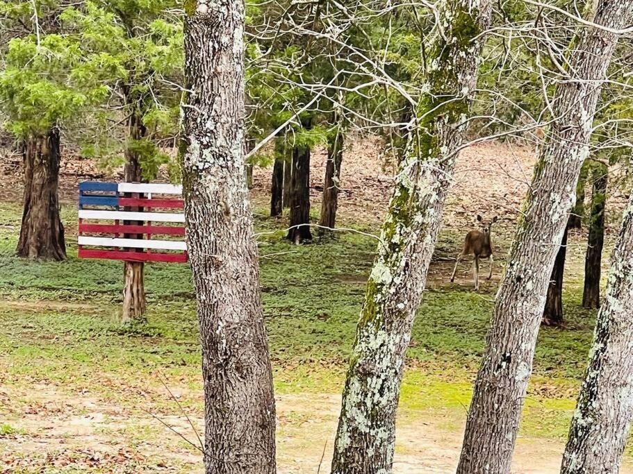 Bastrop Tiny Disc Golf Retreat Villa Eksteriør bilde
